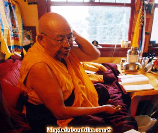 lama tsering wangdu rinpoché